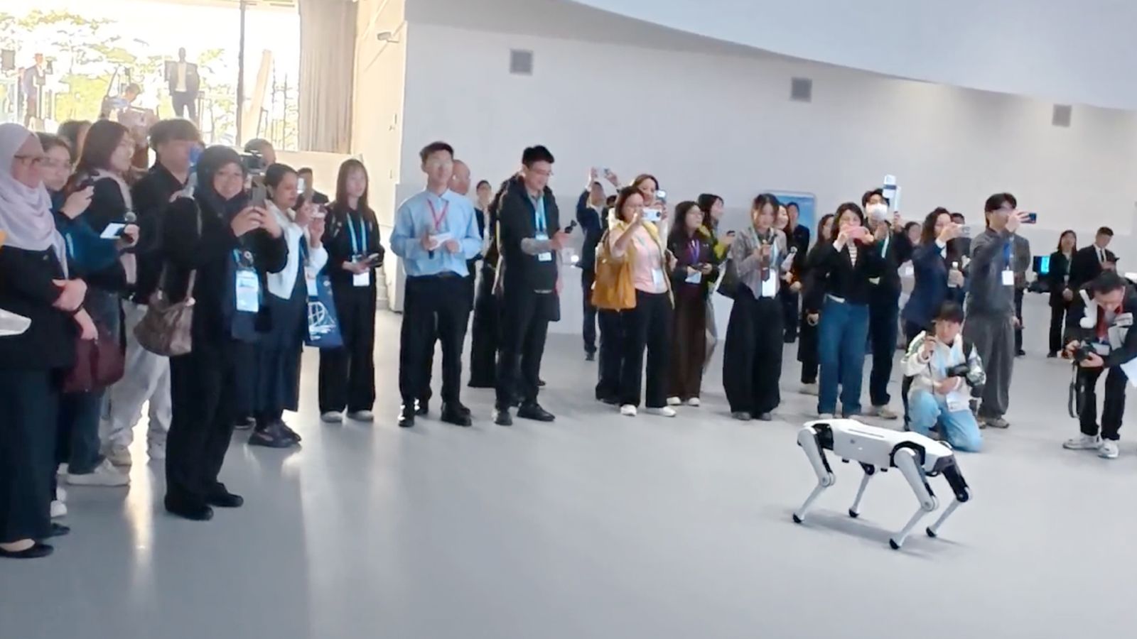 Rover X1 Robot Dog